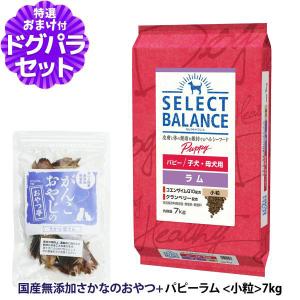 SELECT BALANCE （国産おやつ＆おまけ付き）セレクトバランス パピー