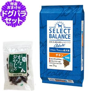 SELECT BALANCE （国産おやつ＆おまけ付き）セレクトバランス アダルト