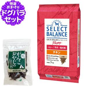 SELECT BALANCE (選べるプレゼント付き)セレクトバランス パピー