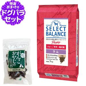 オリジン パピー 6kg ドッグフード 犬 ORIJEN ドック ドライ 子犬