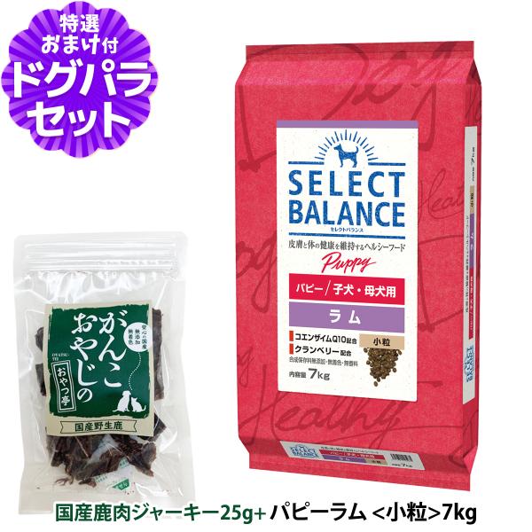 【順次、原材料等の表記変更】セレクトバランス パピー ラム 小粒7kg＋国産鹿肉ジャーキー25g