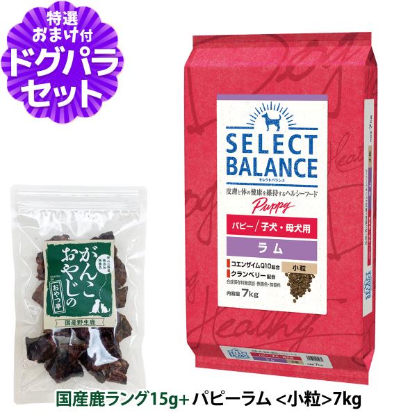 【順次、原材料等の表記変更】セレクトバランス パピー ラム 小粒7kg＋国産鹿ラング15g 犬 子犬...