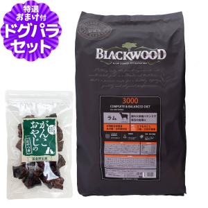森乳サンワールド 【限定クーポン】 スーパーゴールド おなかラボ 成犬