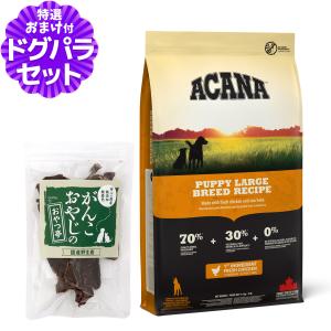 アニマルアーユルヴェーダ モイスチャーヘルス ハーブパック 1KG (小型