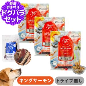 ダイエティクス 犬 ストルバイトブロック 3kg (1.5kg×2袋) : 和泉家