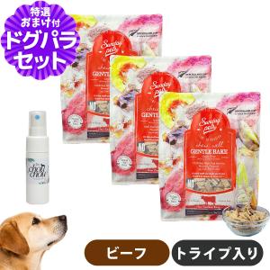 Sunday Pets（サンデーペッツ） (選べる2つのおまけ付き)サンデー