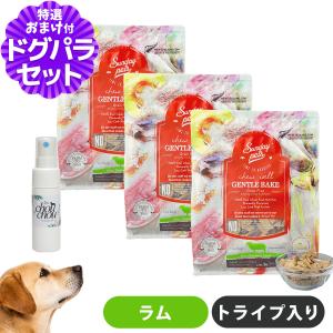 パンフェノン (選べるプレゼント付き)パンフェノン120粒 サプリ 犬 猫