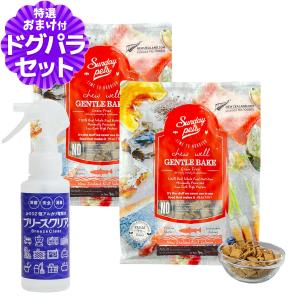 BLISMIX（ブリスミックス） 最短賞味2026.11.26・ブリスミックス 犬