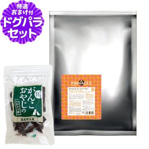 ピナクル ターキー＆パンプキン 8kg+国産鹿肉ジャーキー25g【ドッグパラダイス限定セット】ドッグフード 犬｜ドッグパラダイスぷらすニャン