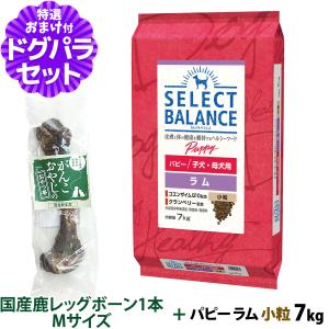 ベッツ・チョイス・ジャパン セレクトバランス ラム パピー 小粒 子犬
