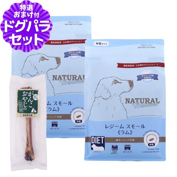（順次パッケージ変更）ナチュラルハーベスト レジームスモール ラム 1.1kg×2袋+国産鹿デンタル...