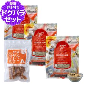 森乳サンワールド 【限定クーポン】 スーパーゴールド おなかラボ 成犬