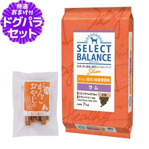 SELECT BALANCE (選べるプレゼント付き)セレクトバランス エイジング