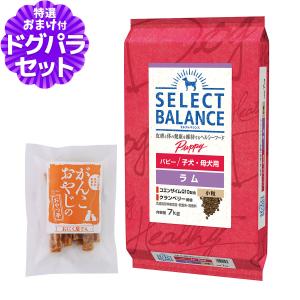 SELECT BALANCE セレクトバランス エイジングケア チキン 中粒 7kg+
