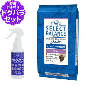 SELECT BALANCE (選べるプレゼント付き)セレクトバランス アダルト