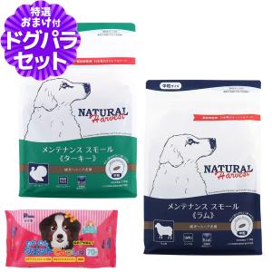 ペットライン ドクターズケア 犬 キドニーケア パウチ 60g×12袋 : SBS