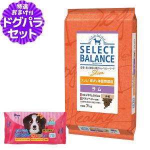 SELECT BALANCE (選べるプレゼント付き)セレクトバランス グリーン