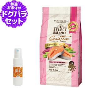 。セレクトバランス　　グレインフリー　サーモン　小粒　成犬用10kg セレクトバランス グレインフリー アダルト サーモン 小粒（成犬