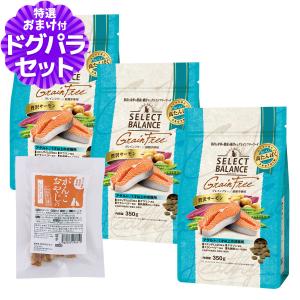 パンフェノン (選べるプレゼント付き)パンフェノン120粒 サプリ