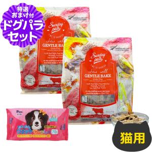 サンデーペッツ 猫用 ジェントルベイク ビーフ ウィズ トライプ 1.3kg×2個+わんわんウエットてぃっしゅ　1個