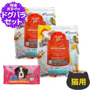 サンデーペッツ 猫用 ジェントルベイク ワイルドホキ ウィズ トライプ 1.3kg×2個+わんわんウエットてぃっしゅ　1個