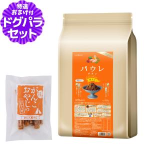 選べるプレゼント付き)乳酸菌H&JIN エイチジン フローラ（人用