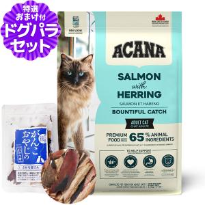 口臭 歯石にリトルラボ ReDenta リデンタ スプレー 50ml 犬 デンタル