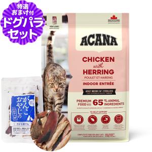 口臭 歯石にリトルラボ ReDenta リデンタ スプレー 50ml 犬 デンタル