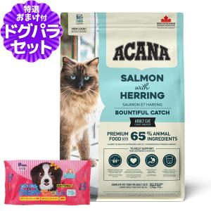 プロフェッショナル・バランス (選べるプレゼント付き