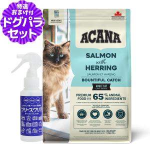 順次リニューアル変更】(選べるプレゼント付き)Premium乳酸菌H&JIN