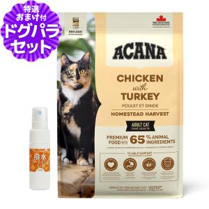 選べるプレゼント付き)乳酸菌H&JIN エイチジン フローラ（人用） 60ml