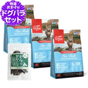 ペットライン ドクターズケア 猫 尿石ケア フィッシュ パウチ 50g×12袋