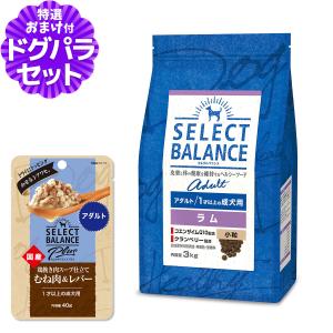SELECT BALANCE (選べるプレゼント付き)セレクトバランス アダルト