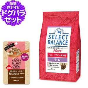 SELECT BALANCE セレクトバランス エイジングケア チキン 中粒 7kg+