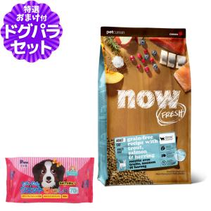 パンフェノン (選べるプレゼント付き)パンフェノン120粒 サプリ 犬 猫