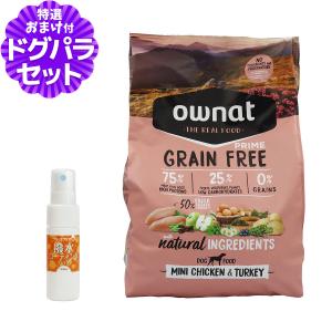 パンフェノン (選べるプレゼント付き)パンフェノン120粒 サプリ 犬 猫