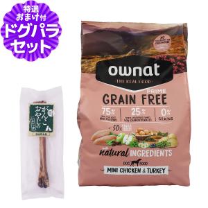 パンフェノン (選べるプレゼント付き)パンフェノン120粒 サプリ 犬 猫