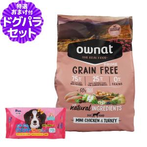 パンフェノン (選べるプレゼント付き)パンフェノン120粒 サプリ 犬 猫