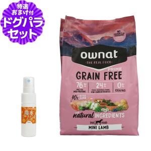 パンフェノン (選べるプレゼント付き)パンフェノン120粒 サプリ 犬 猫
