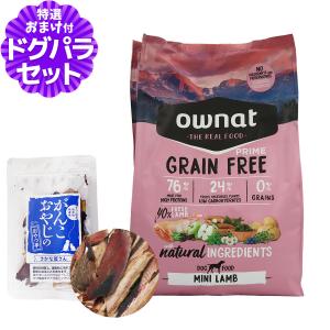 パンフェノン (選べるプレゼント付き)パンフェノン120粒 サプリ 犬 猫