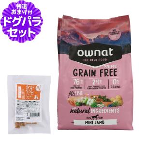 パンフェノン (選べるプレゼント付き)パンフェノン120粒 サプリ 犬 猫