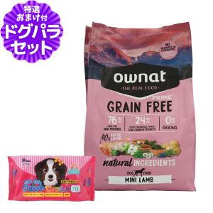 パンフェノン (選べるプレゼント付き)パンフェノン120粒 サプリ 犬 猫