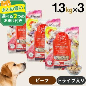 Sunday Pets（サンデーペッツ） (選べるプレゼント付き)サンデーペッツ