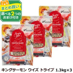 サンデーペッツ 選べる2個セット 各1.3kg Sunday Pets（サンデーペッツ） (選べる2つのおまけ付き)サンデー