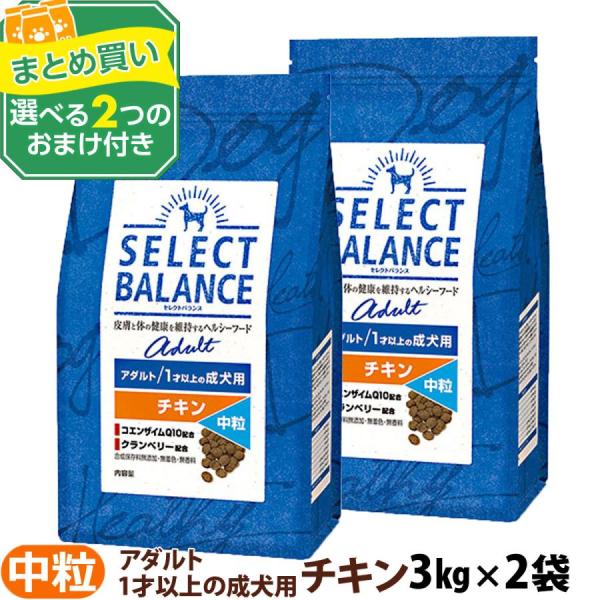 セレクトバランス アダルト チキン 中粒 3kg×2個＋選べるおまけ付き