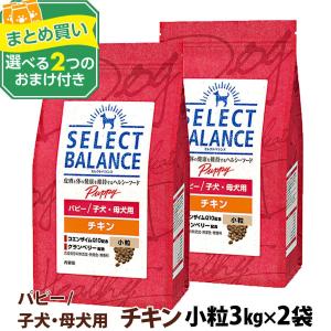 SELECT BALANCE セレクトバランス パピー チキン 子犬・母犬用 小粒