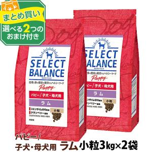 SELECT BALANCE (選べるプレゼント付き)セレクトバランス スリム