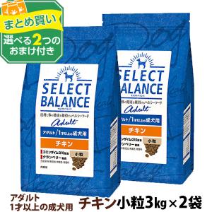 SELECT BALANCE (選べるプレゼント付き)セレクトバランス SELECT BALANCE (選べるプレゼント付き)セレクトバランス