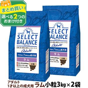 【順次、原材料等の表記変更】セレクトバランス アダルト ラム 小粒 3kg×2個＋選べるおまけ付き 1才以上の成犬 ドッグ フード 羊 米 ドライ 低脂肪｜dogparadise