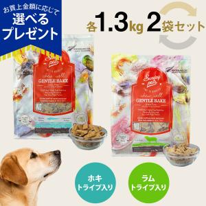 ロイヤルカナン（ROYAL CANIN） 犬用 肝臓サポート ドライ 3kg : くに